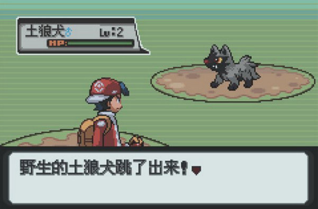 nds口袋妖怪白金汉化版
