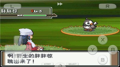 nds口袋妖怪白金汉化版