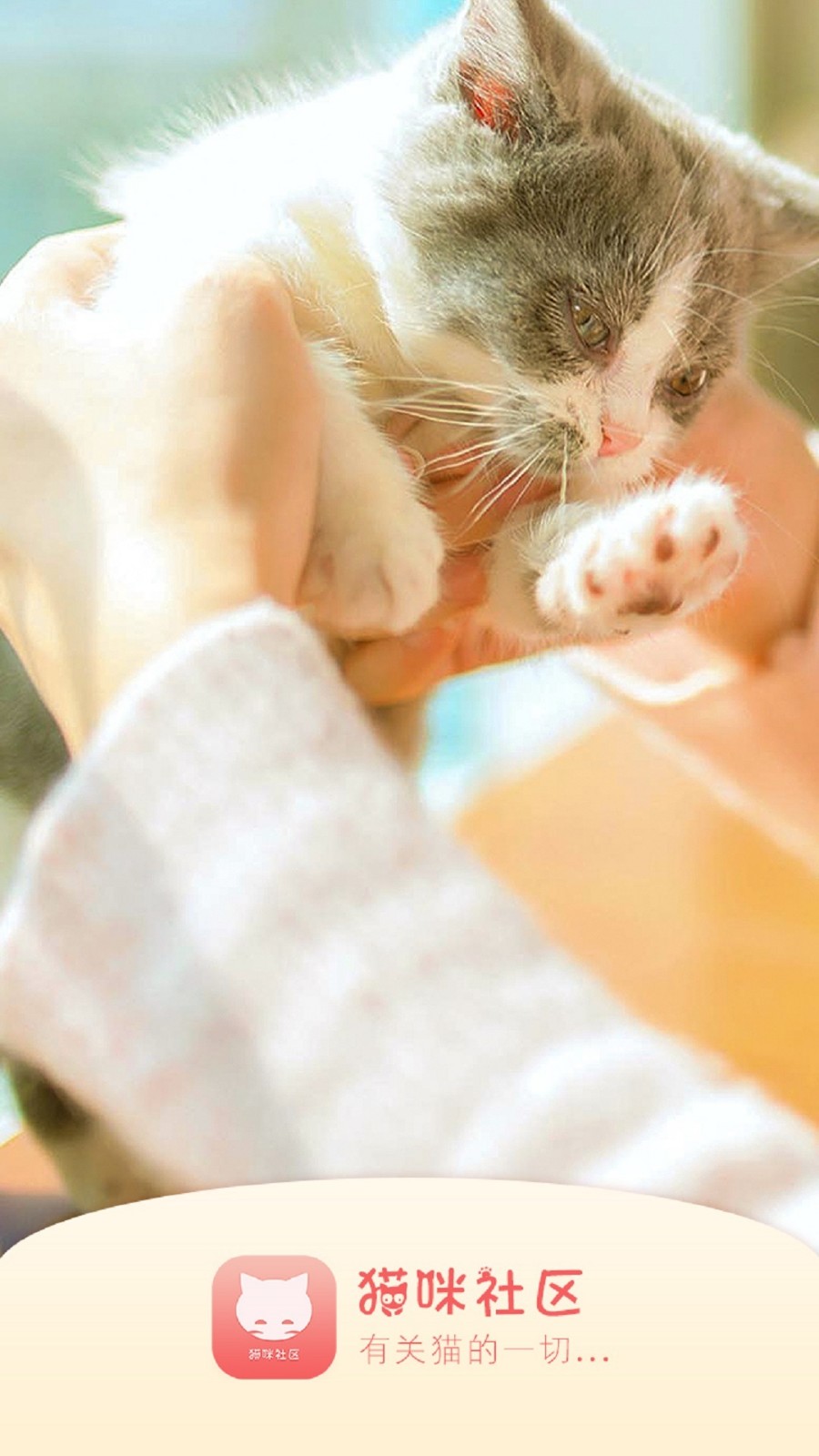猫咪社区app旧版