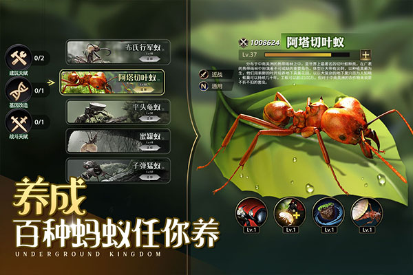 小小蚁国内置菜单