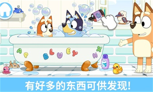布鲁伊一起玩吧2025