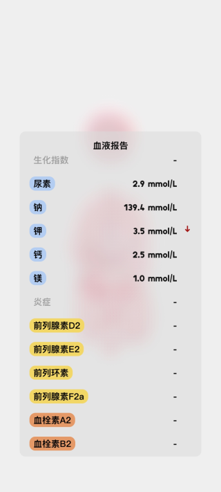 生命life汉化版