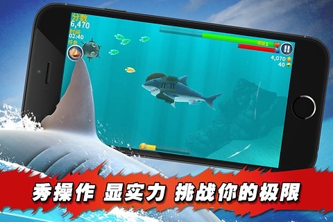 饥饿鲨进化内购版