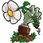http://i-2.onegreen.net/2025/0805/d5a629d8c4e62bac8adfe705aa12b58a.jpg