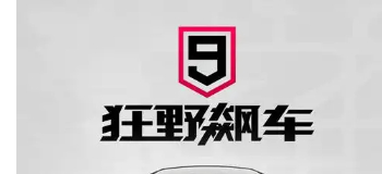 狂野飙车9国际服