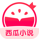 西瓜小说无广告