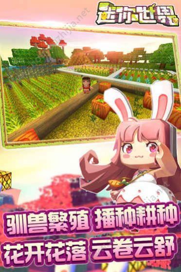 迷你世界之守护花小楼最新完整版