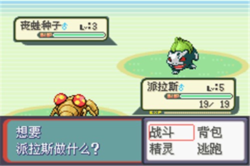 口袋妖怪蛇纹木