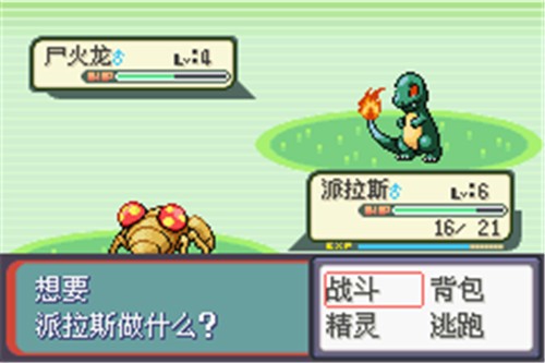 口袋妖怪蛇纹木