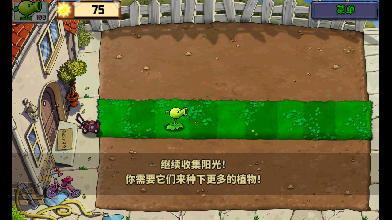 植物大战僵尸美女版