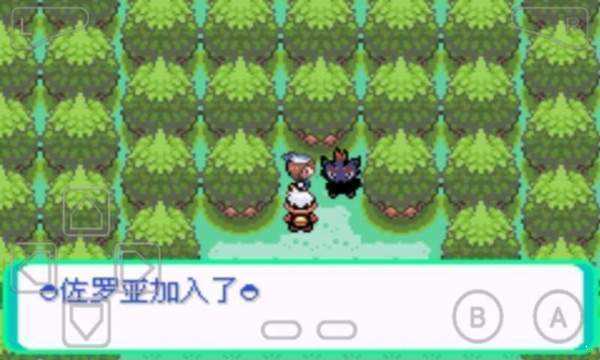 口袋妖怪漆黑的魅影萌娘版