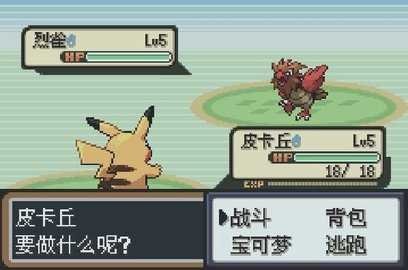 口袋妖怪圣灰汉化版作弊码