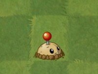 植物大战僵尸2国际服正版