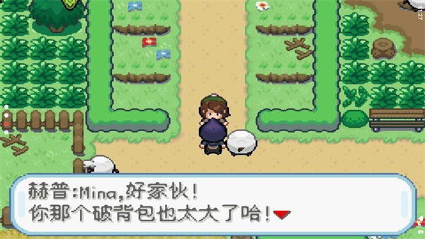 口袋妖怪剑盾GBA中文版