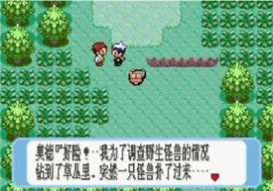 口袋妖怪蓝宝石汉化版