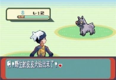 口袋妖怪蓝宝石汉化版