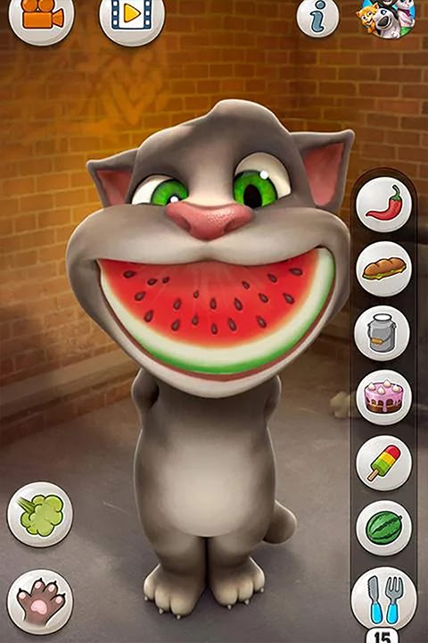 会说话的汤姆猫无限食物版