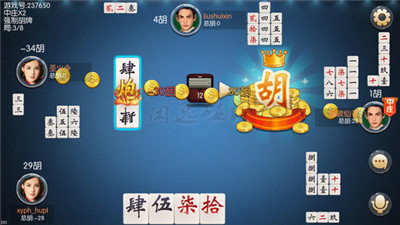 下载闲逸碰胡最新版本官方