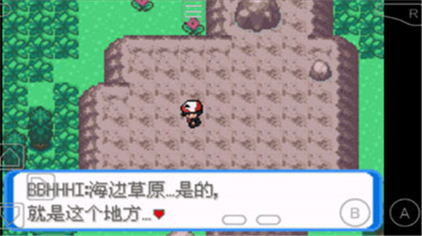 口袋妖怪圣灰内置修改器