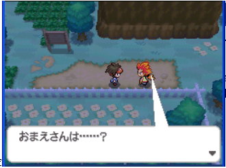 口袋妖怪黑白2中文版