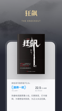 微信读书墨水屏版app
