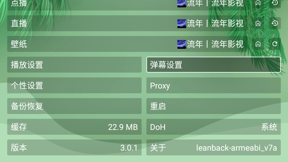 流年影视