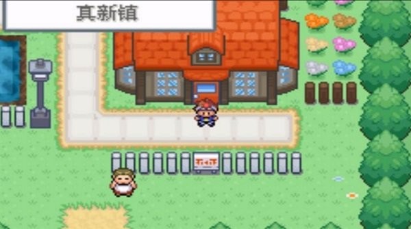 口袋妖怪口袋暴龙自带作弊版