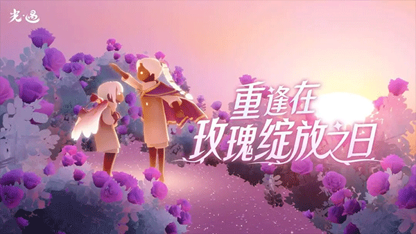 光遇白鸟全物品版最新版本2025