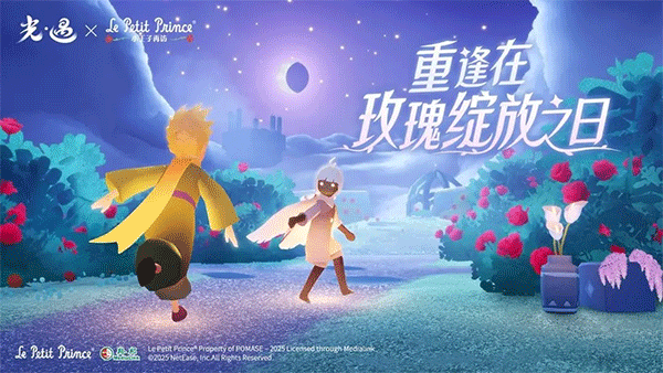光遇白鸟全物品版最新版本2025
