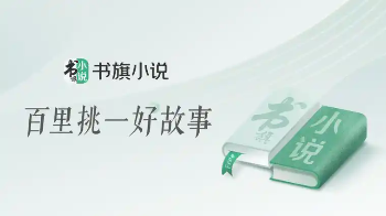书旗小说有哪些版本