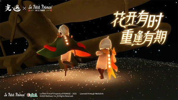 光遇白鸟全物品版最新版本2025