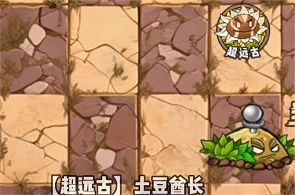 植物大战僵尸神奇植物版5