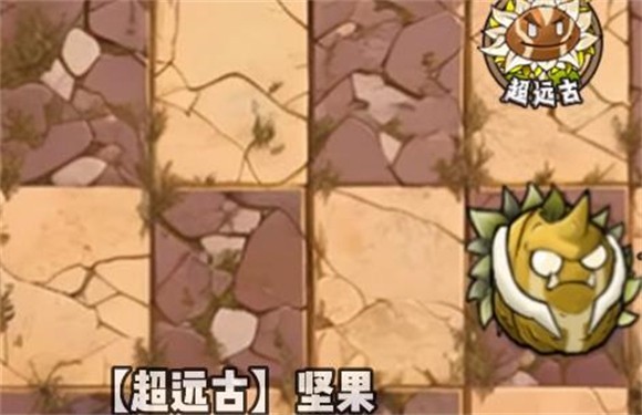 植物大战僵尸神奇植物版6