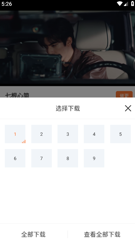 白天鹅