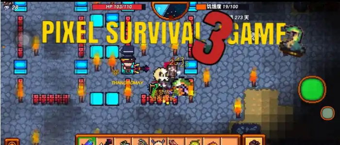 像素生存者3无限钻石版