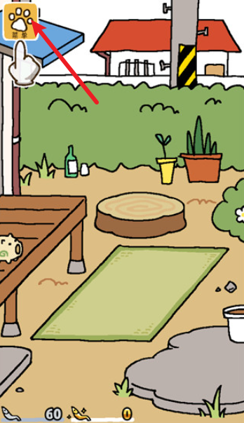 猫咪后院2最新版