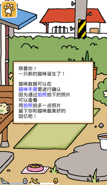 猫咪后院2最新版