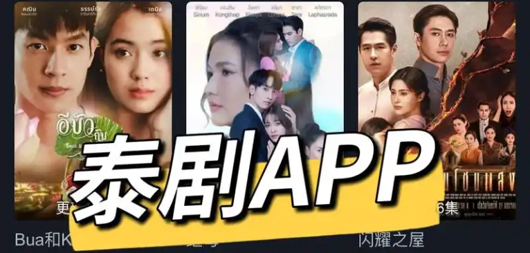专门追泰剧的app