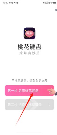 桃花键盘输入法