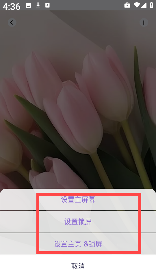 DIY主题组件库