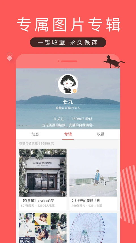 堆糖app最新版