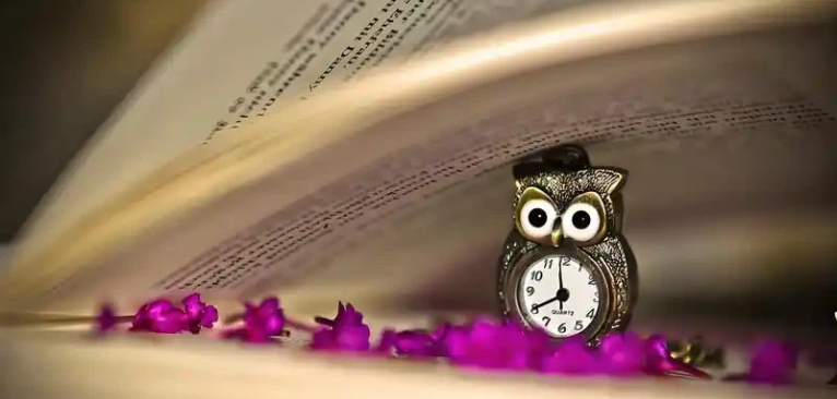 适合追书的神器有哪些