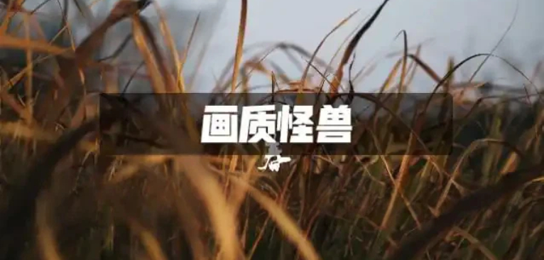 画质怪兽app合集