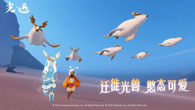 光遇全物品解锁版sky2026