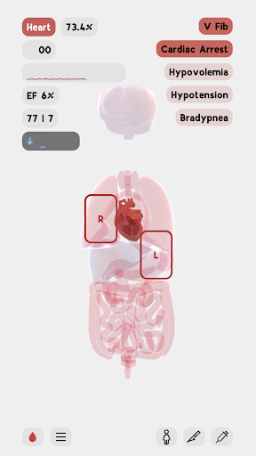生命life安卓汉化版