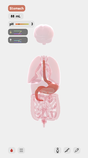 生命life安卓汉化版