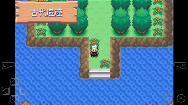 口袋妖怪永恒之沫金手指