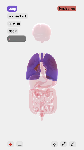 生命life安卓汉化版