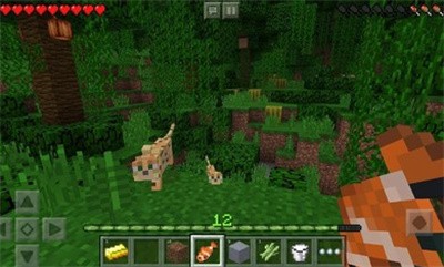 我的世界国际服1.18.0.02