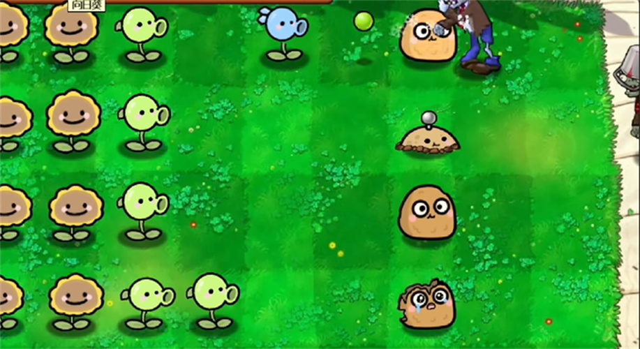 植物大战僵尸幼儿园版内置作弊菜单